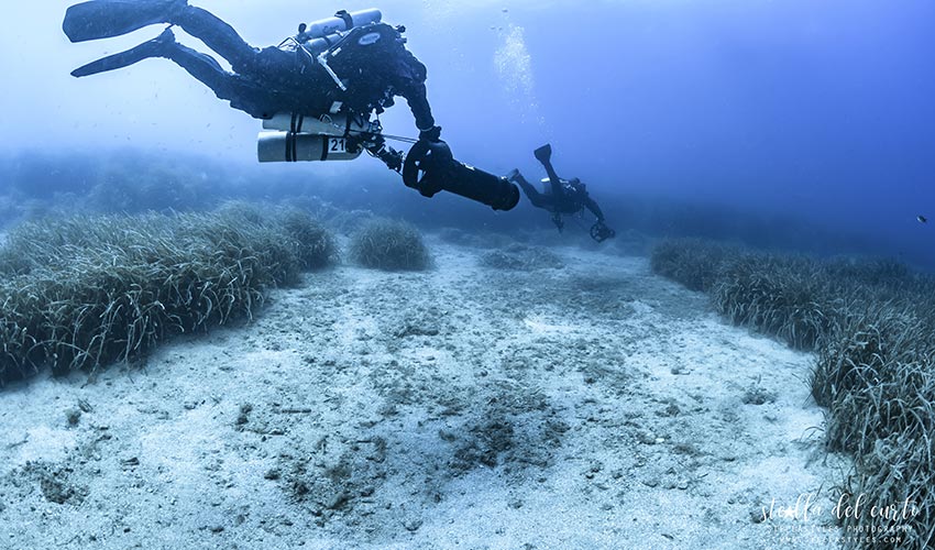 Diving Bolle d'Azoto, Elba